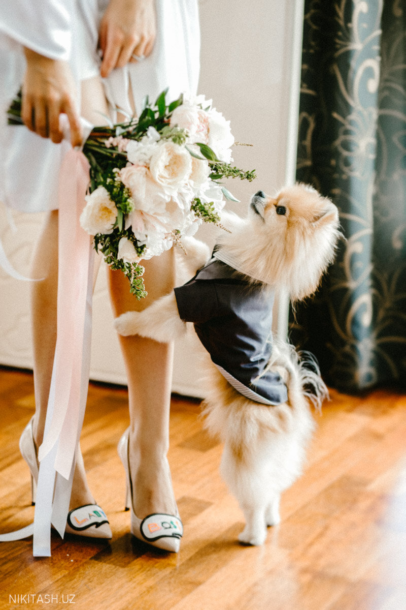 милен фармер с собакой, шпиц бу, собака, собака шпиц, померанский шпиц