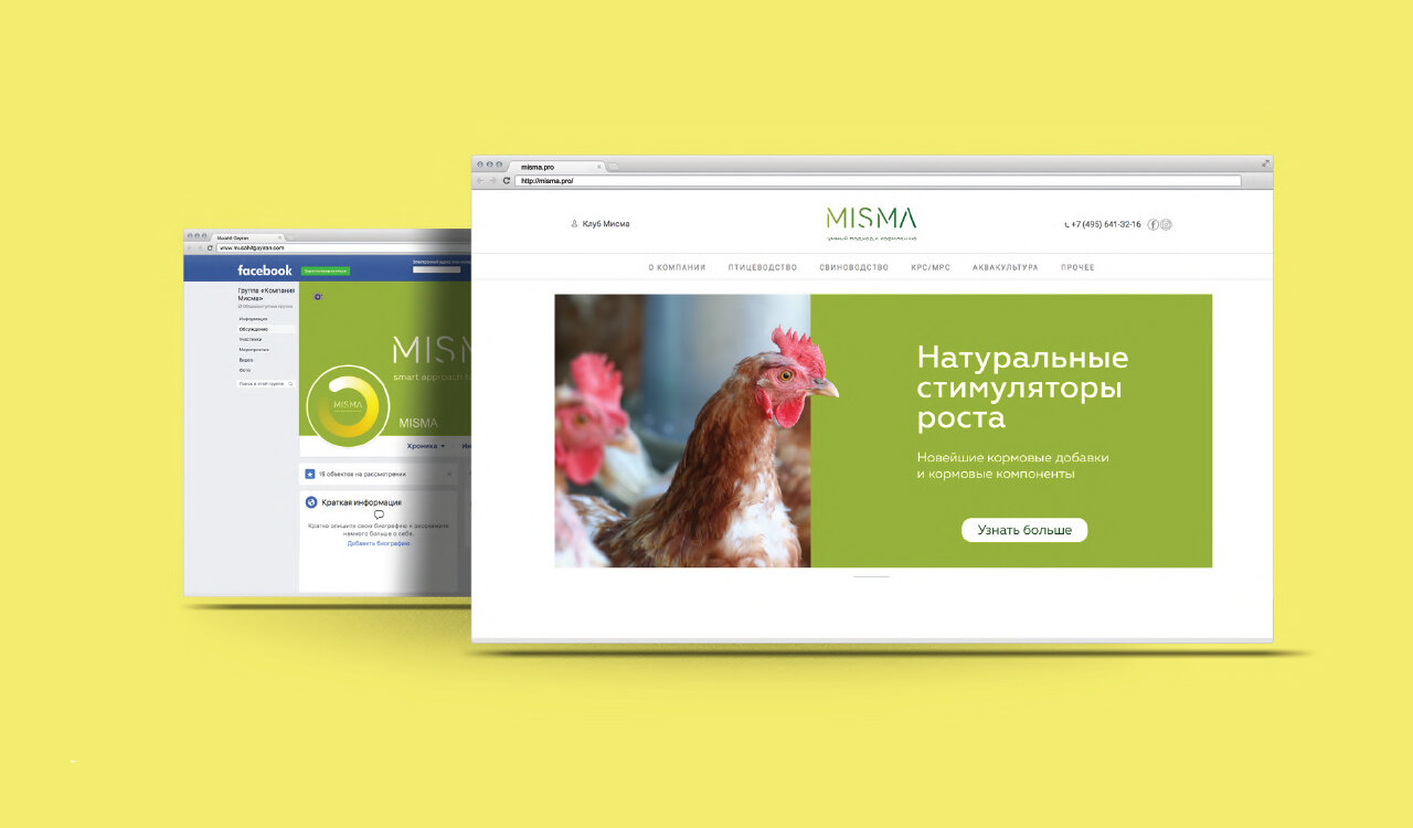 курица, куры несушки, рыжая курица, домашняя курица, ломан браун куры