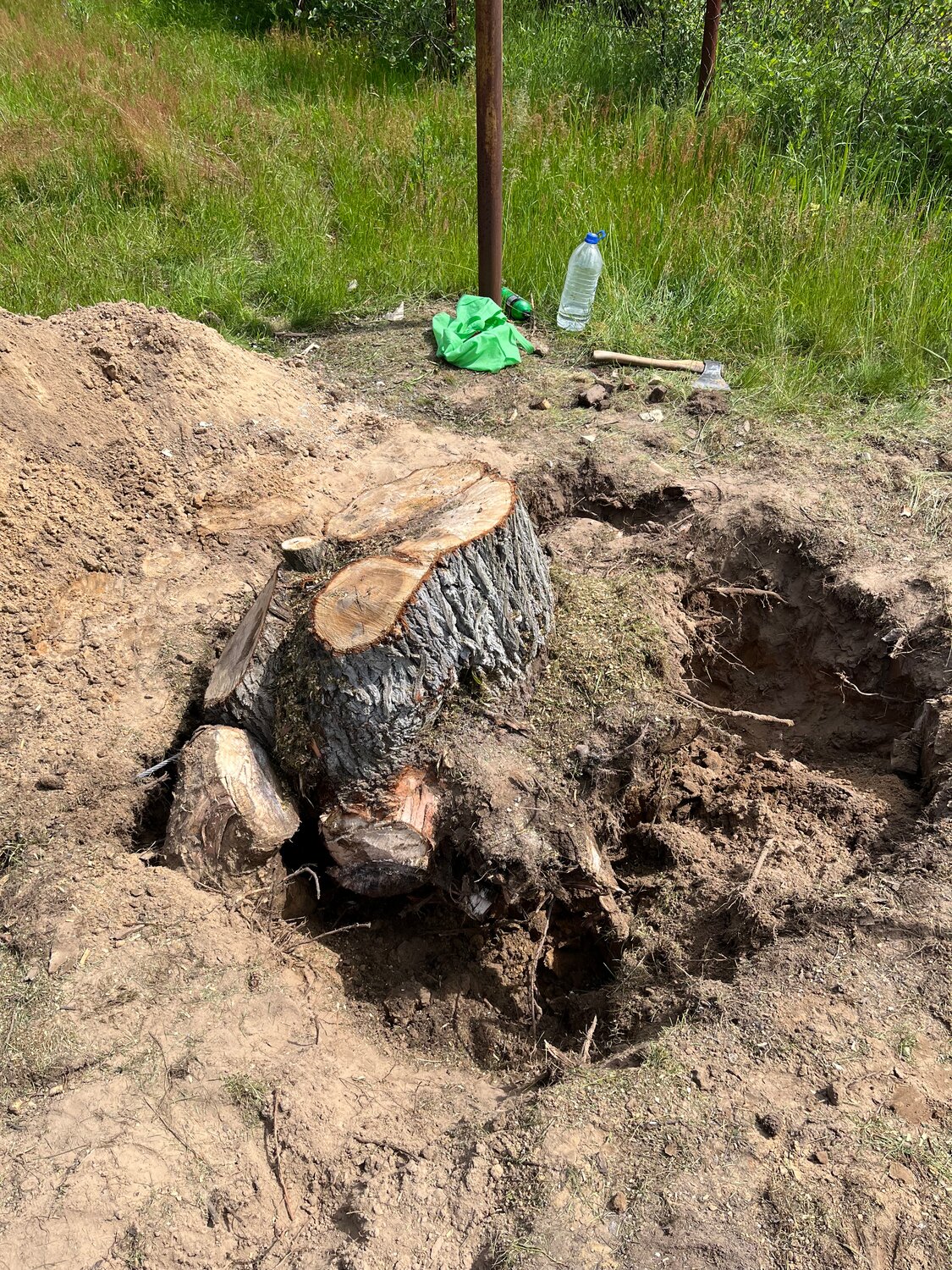 корчевка пней, корчевание корней сосны, корчевание пней, выкопать дерево, корчевание