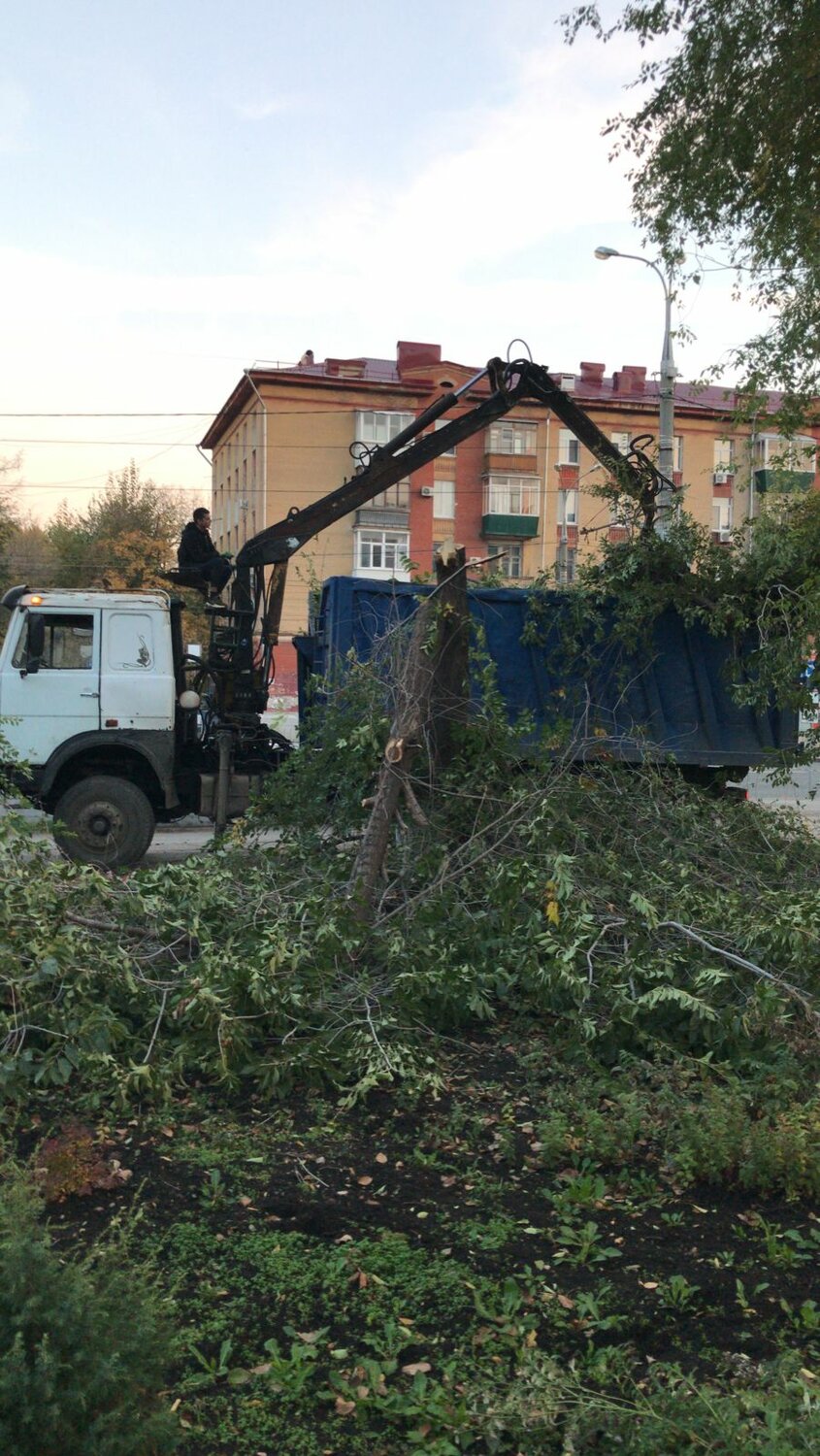 камаз ломовоз, ломовоз, камаз ломовоз хапуга, ломовоз с манипулятором ветки, ломовоз с манипулятором