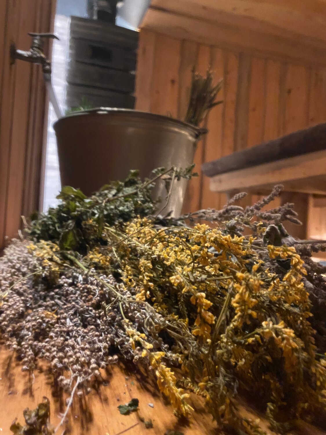 веник для бани полынь, веник для бани полынь горькая, русская баня, веник из полыни для бани и сауны, трава для бани