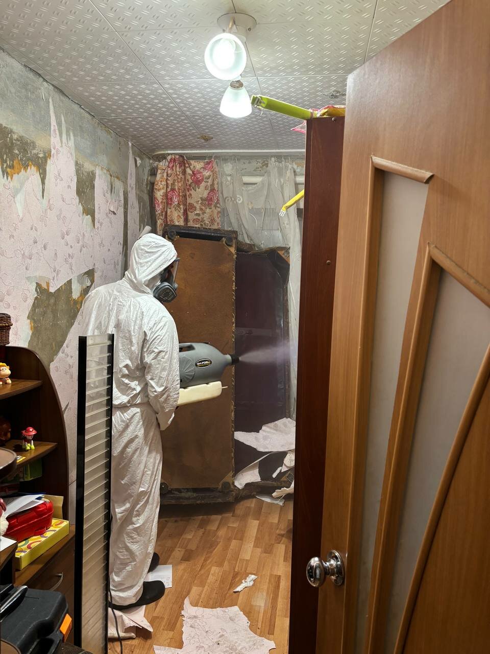 дезинфекция от клопов, дезинсектор холодный туман, дезинсекция, дезинфекция дезинсекция дератизация, дезинсекция клопов туманом