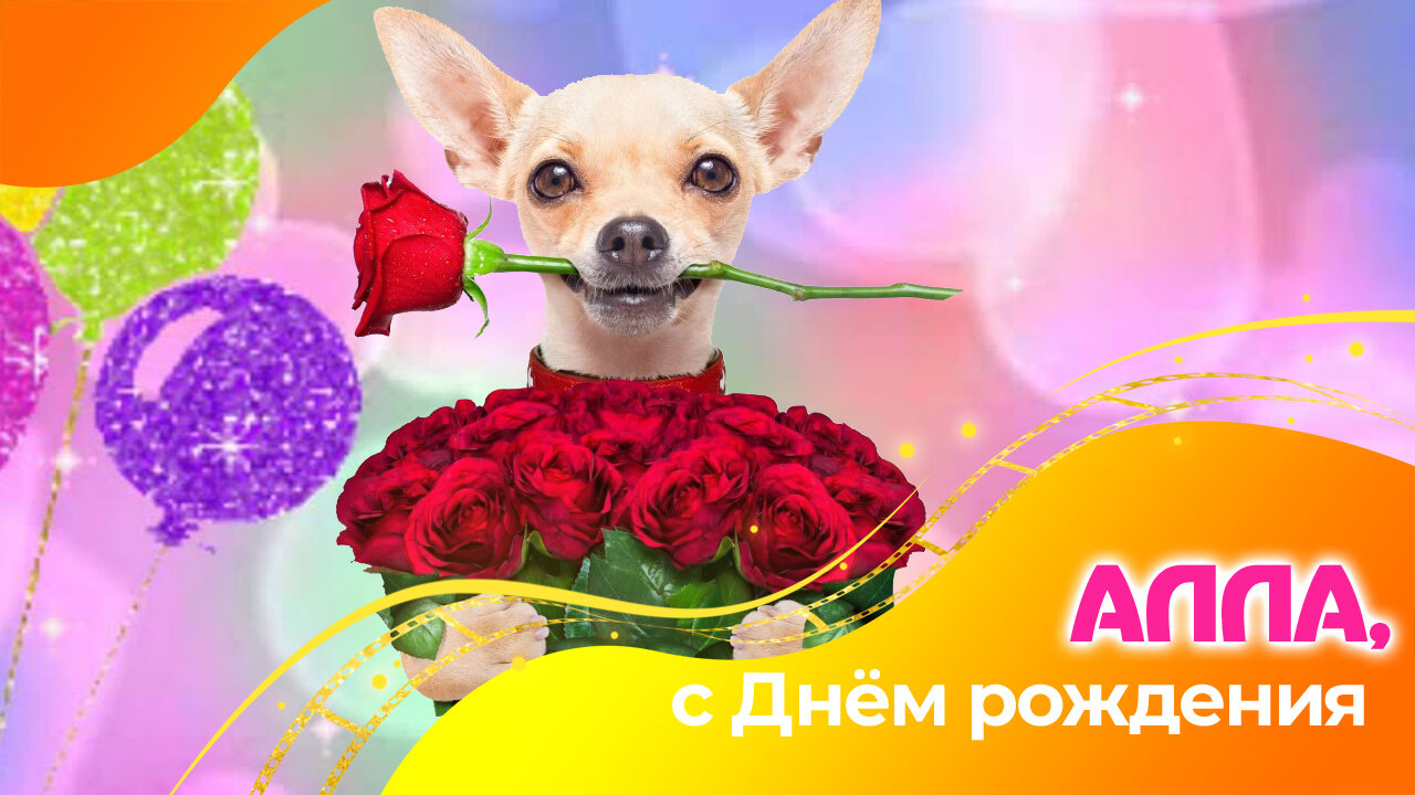 Фото- и видеоуслуги в Москве и Московской области: 67 исполнителей со ...