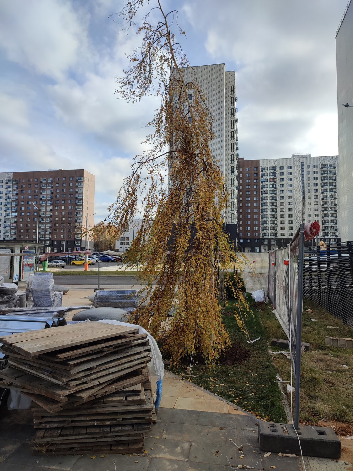 осень, зеркальный фотоаппарат, осенний, осень город, человек