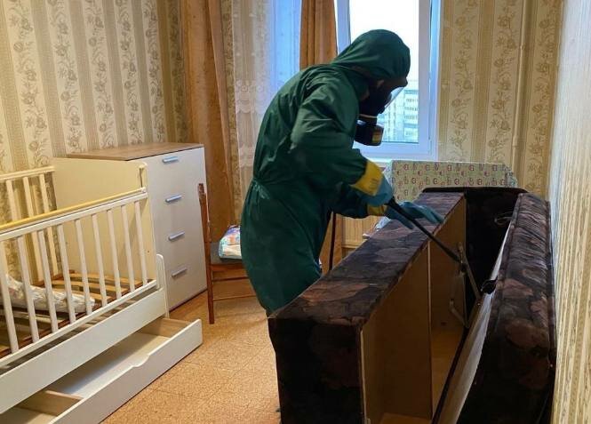 уничтожение клопов, дезинфекция в москве от тараканов и клопов, дезинфекция от клопов, дезинсекция, дезинфекции