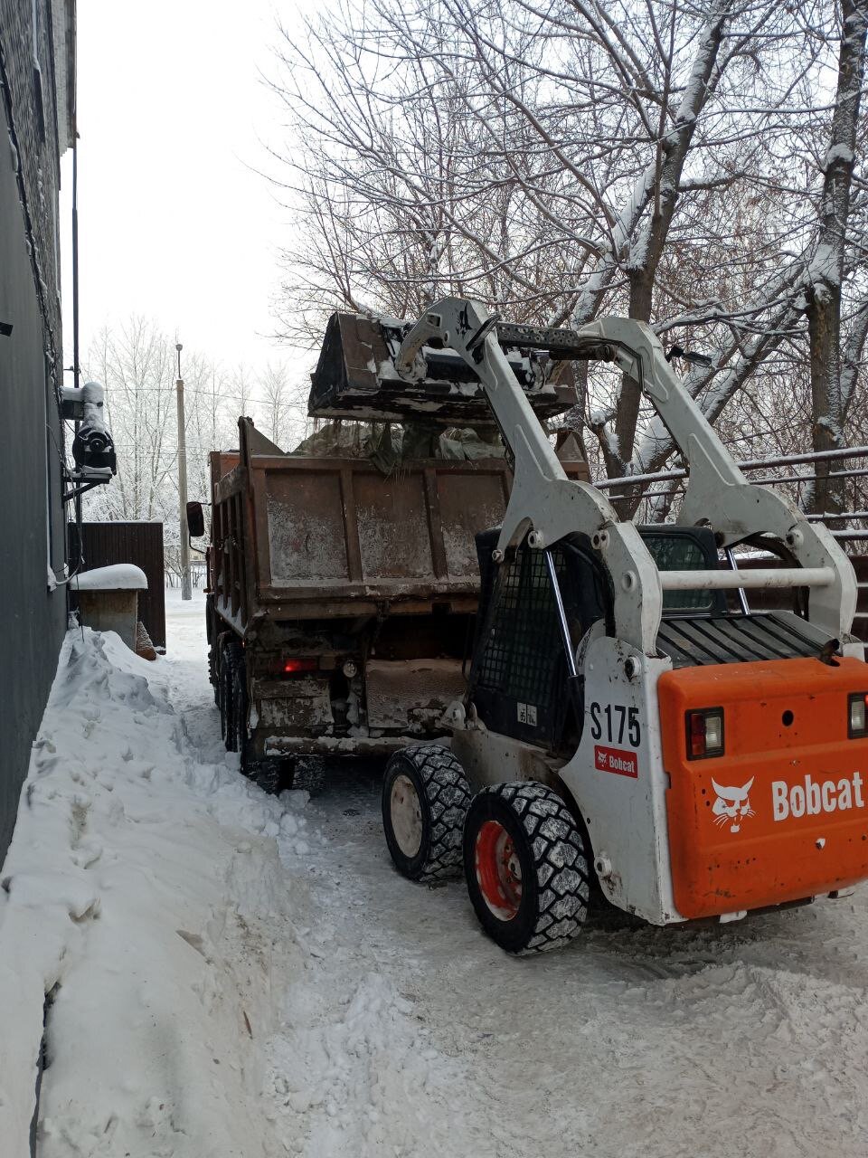 погрузчик bobcat, мини погрузчик bobcat, минипогрузчика bobcat s175, bobcat company, погрузчик bobcat s300