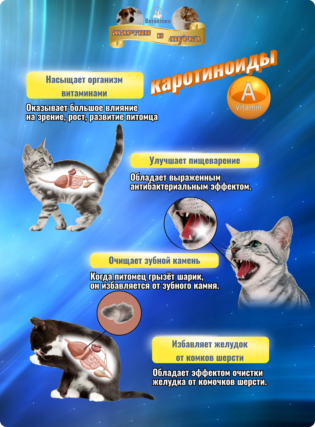 средство от глистов для кошек, от глистов для кошек, таблетки от глистов для кошек со вкусом мяса, капли от глистов для кошек на холку, таблетки от глистов для кошек