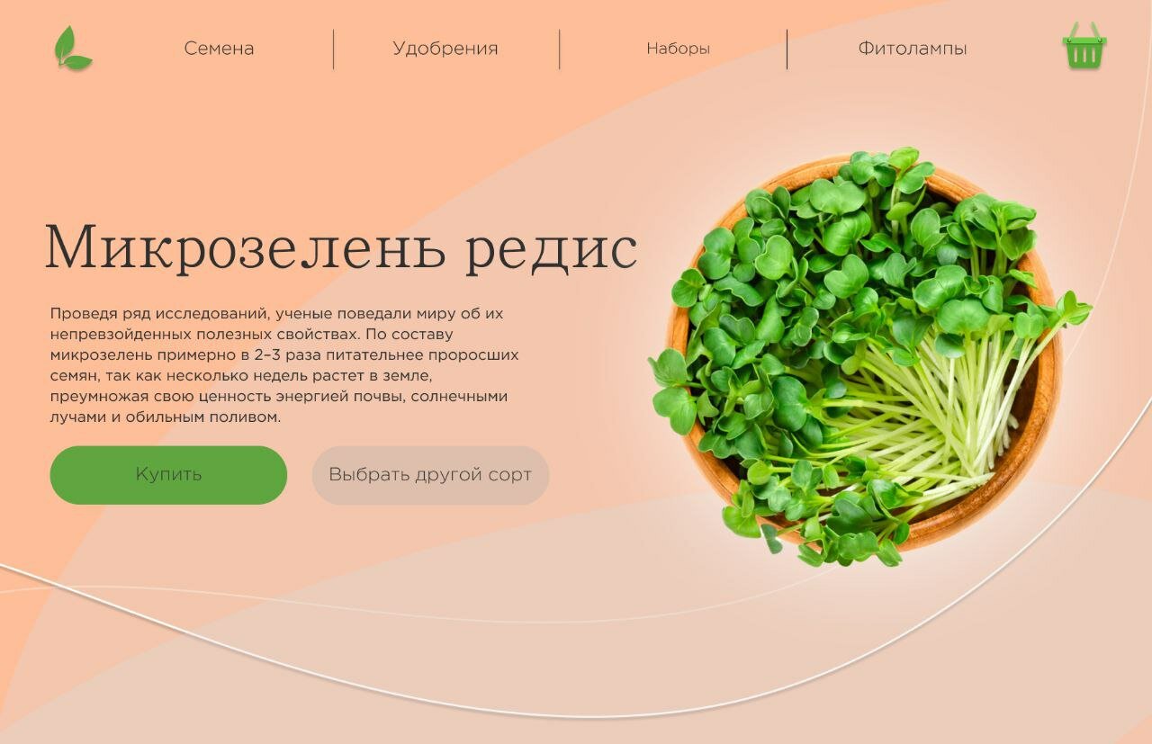 микрозелень редис, микрозелень, редис дайкон микрозелень, микрозелень дайкон, микрозелень редис санго