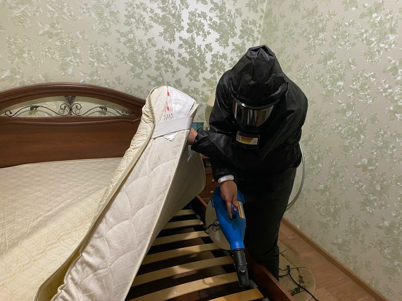 уничтожение клопов, дезинсекция, дезинфекция, дезинфекция от клопов, обработка от клопов