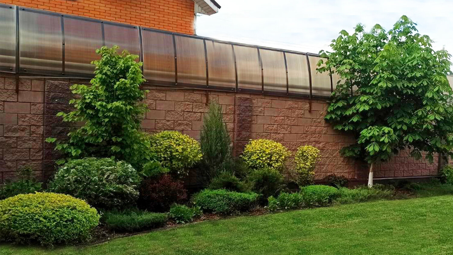 пузыреплодник ред барон живая изгородь, ландшафтный дизайн перед забором, пузыреплодник лютеус в ландшафтном дизайне, вдоль забора ландшафтный дизайн, пузыреплодник в ландшафтном дизайне