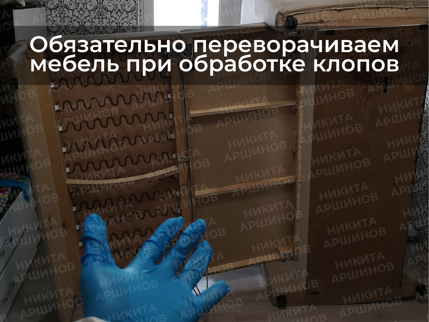 обработка от клопов, уничтожение клопов, потравить клопов, травить клопов, уничтожение клопов в квартире