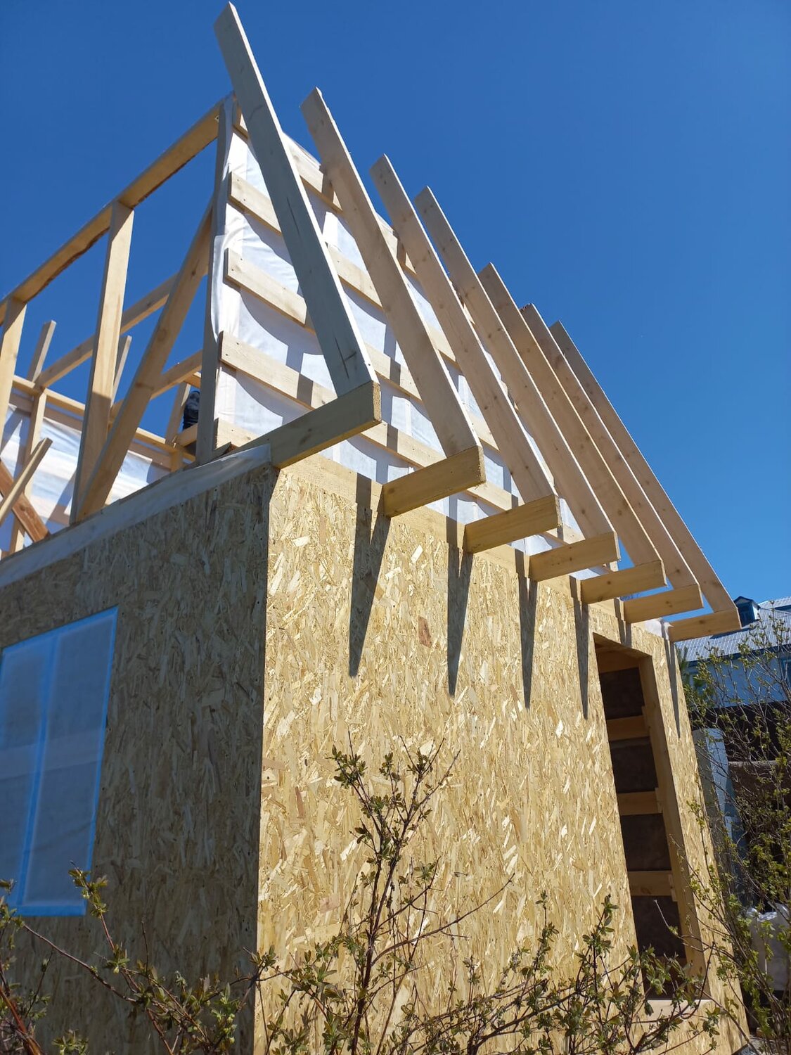 стропильные системы крыш, стропильные системы, стропила каркасного дома, возводим крышу каркасного дома, крыша в каркасном доме