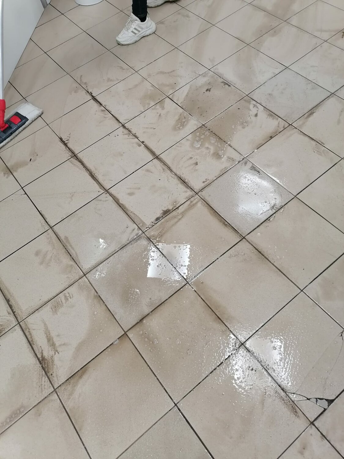 затирка для белой плитки на пол, плитка на пол, укладка плитки, выкладка плитки, затирка для светлой плитки на пол