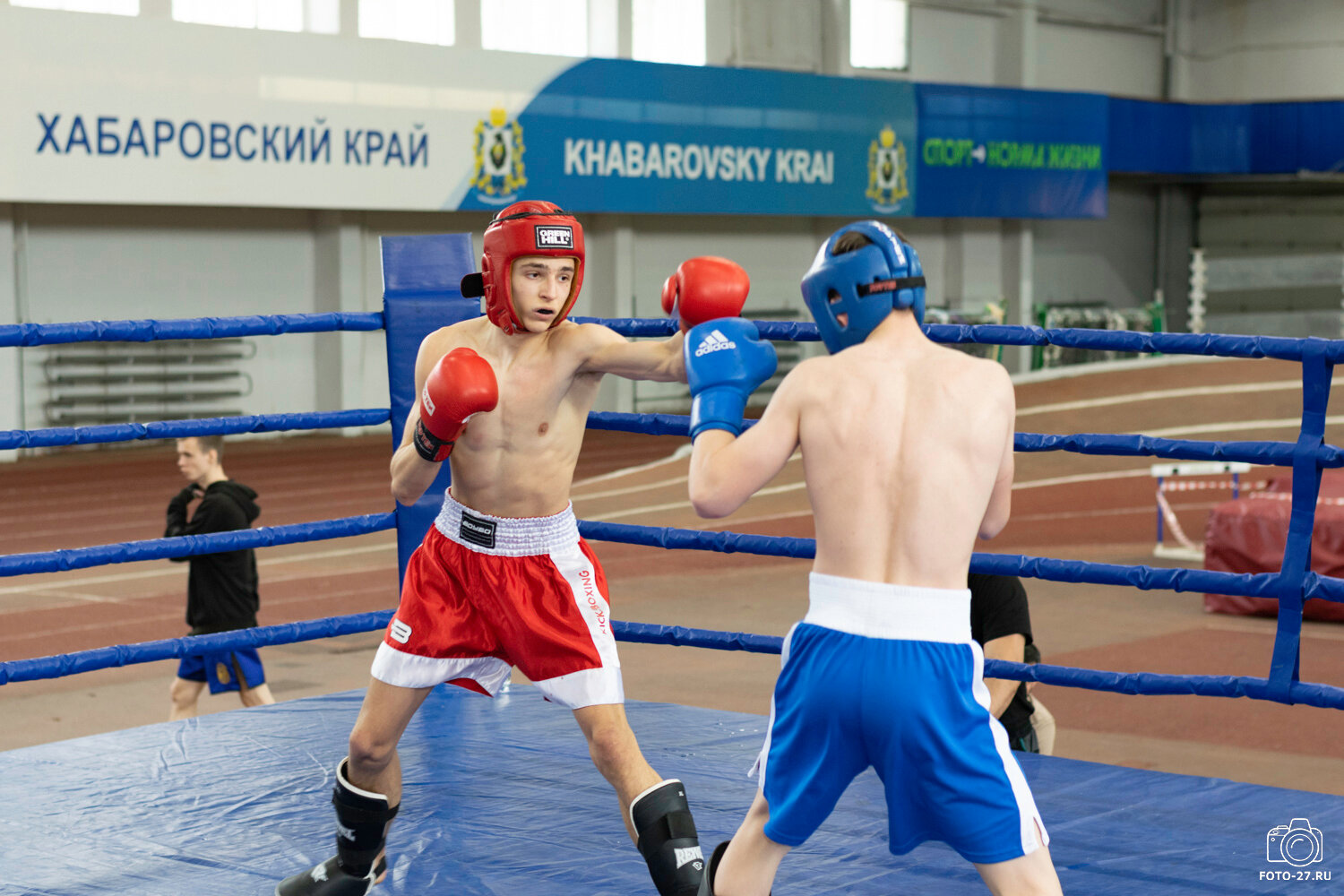 кикбоксинг, алексей аладинский кикбоксинг, соревнования по кикбоксингу, кикбоксинг мальчики, кикбокс