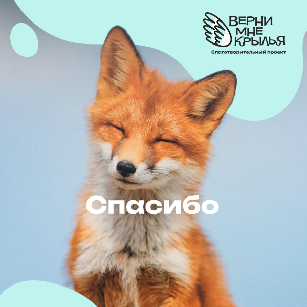 лиса, радостная лиса, улыбающаяся лиса, довольная лиса, счастливая лиса
