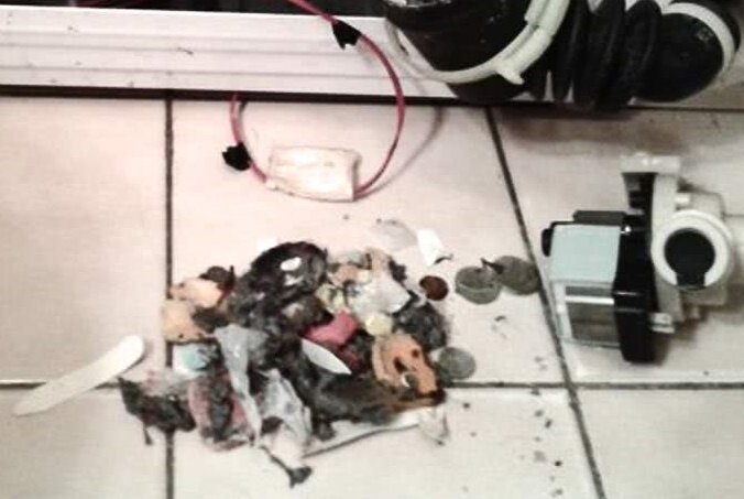 в стиральной машине, стиральная машина не сливает воду, слив в стиральной машине, ардо сливной насос, слив воды из стиральной машины