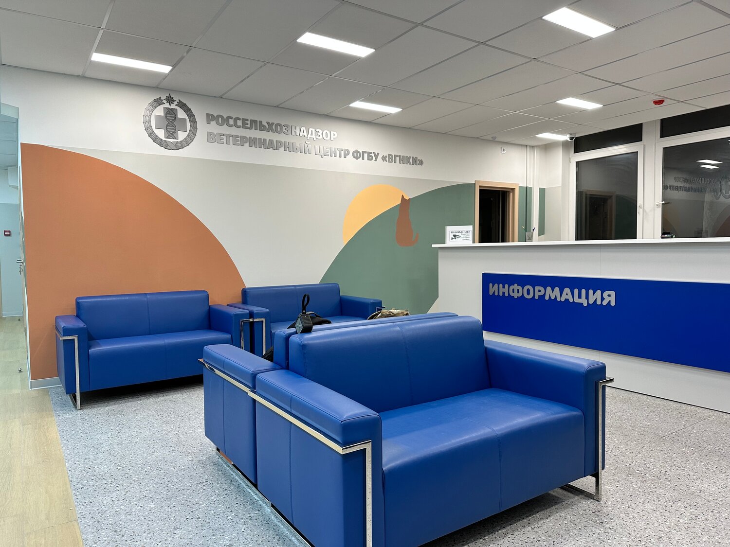 визовый центр, сервисный центр, днс новокузнецк сервисный центр, центра, медцентр
