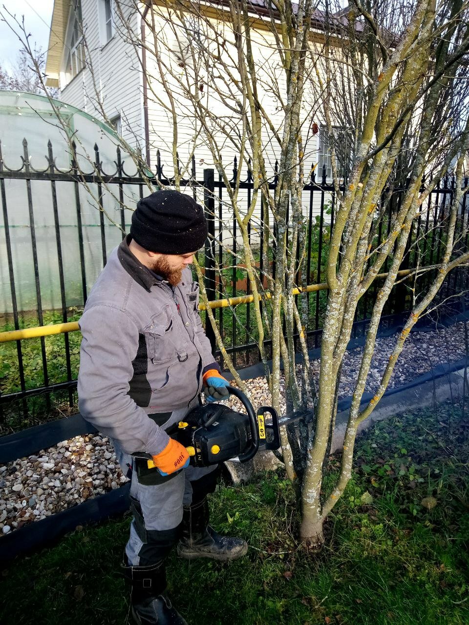 обрезка деревьев, спил дерева, мотокоса stihl, спилить дерево, бензобур stihl bt 131