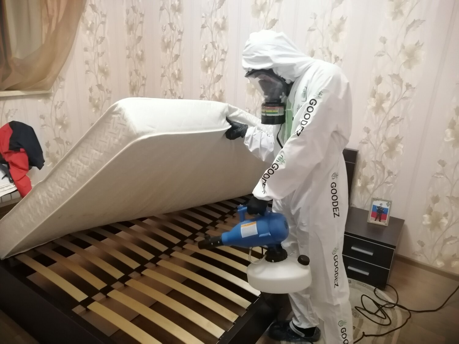 дезинсекция, дезинфекция от клопов в квартире, дезинфекция от клопов, дезинфекция, дезинфекция дезинсекция дератизация
