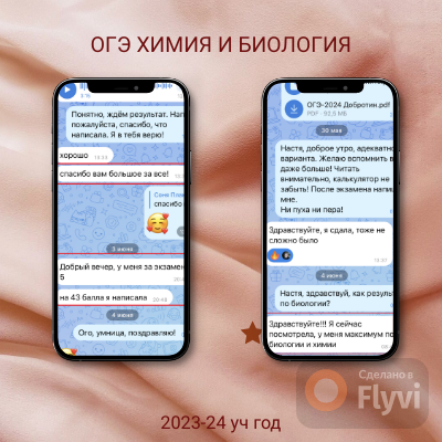 задача, телеграмм бот, переписки в телеграмме, скриншот переписки, в телеграм