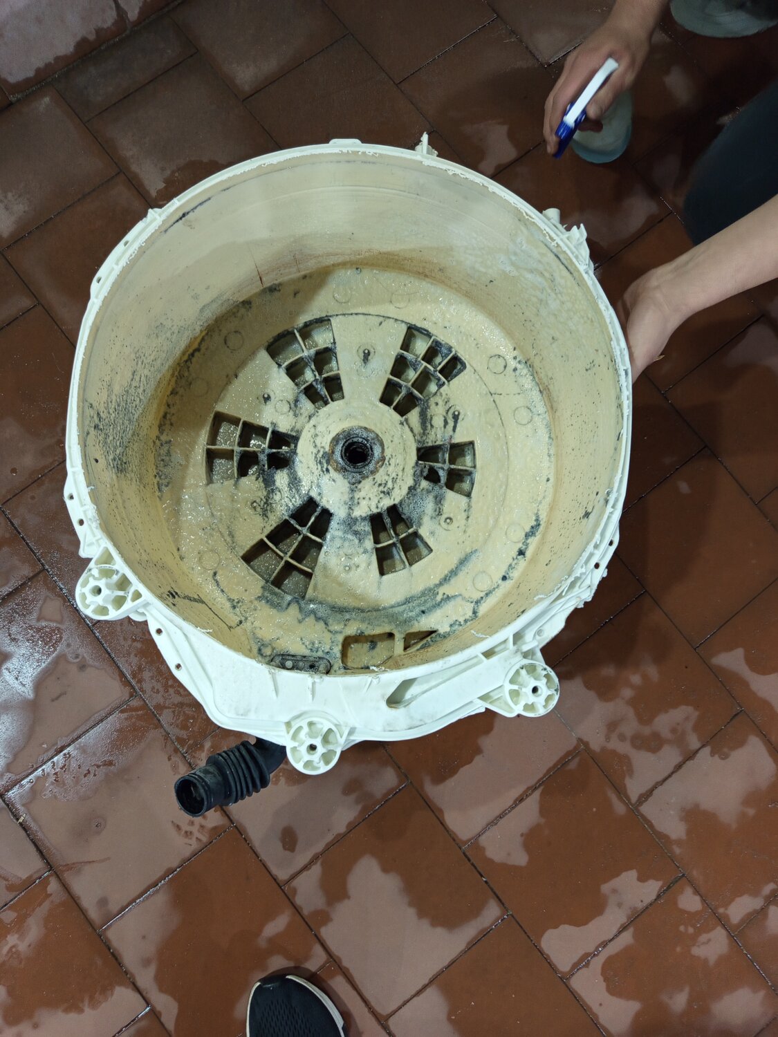 бак стиральной машины, стиральная машина барабан, бак стиральной машины индезит, барабан стиральной машинки, замена подшипника в стиральной машине