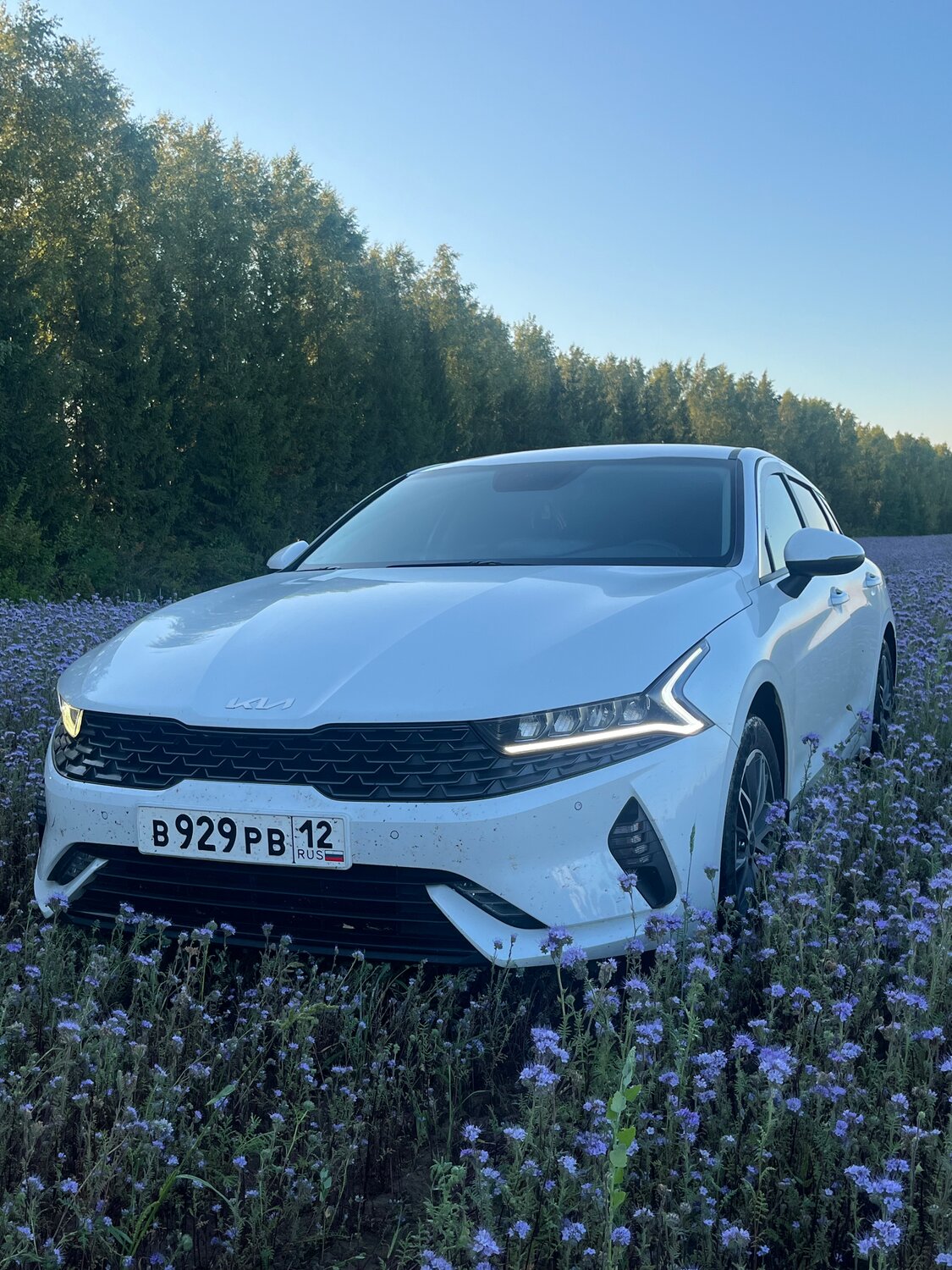 киа к 5 2021, киа к 5 белая, kia k 5 gt line, kia k 5 2020, Toyota Mark II VII (X90)
