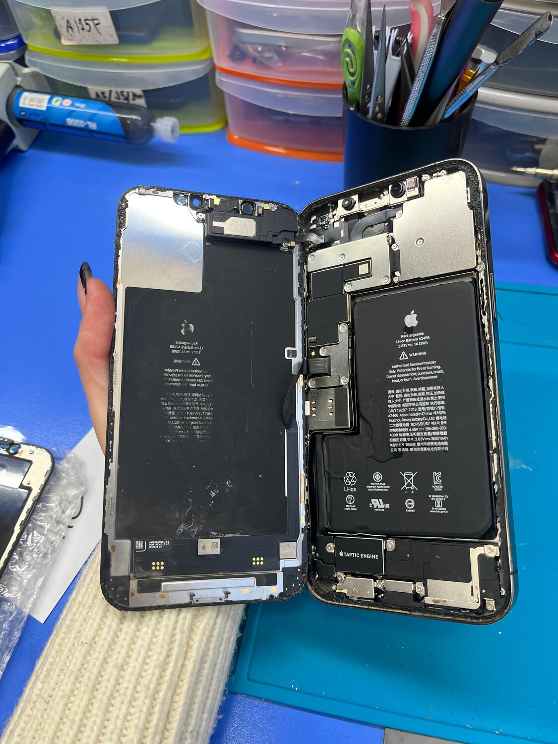 внутренности айфона, дисплей iphone 12 pro, iphone 12 mini разбор, разобранный айфон, айфон в разборе