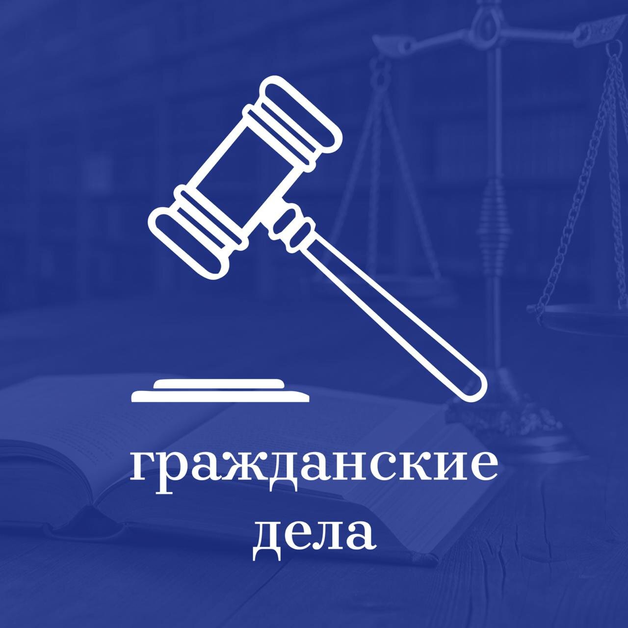 гражданские дела, суд иконка, юридическая услуга, иконка закон, судебная практика