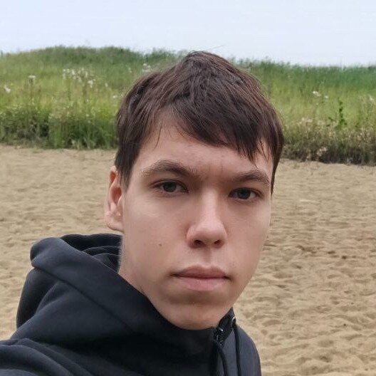 Александр Николаев