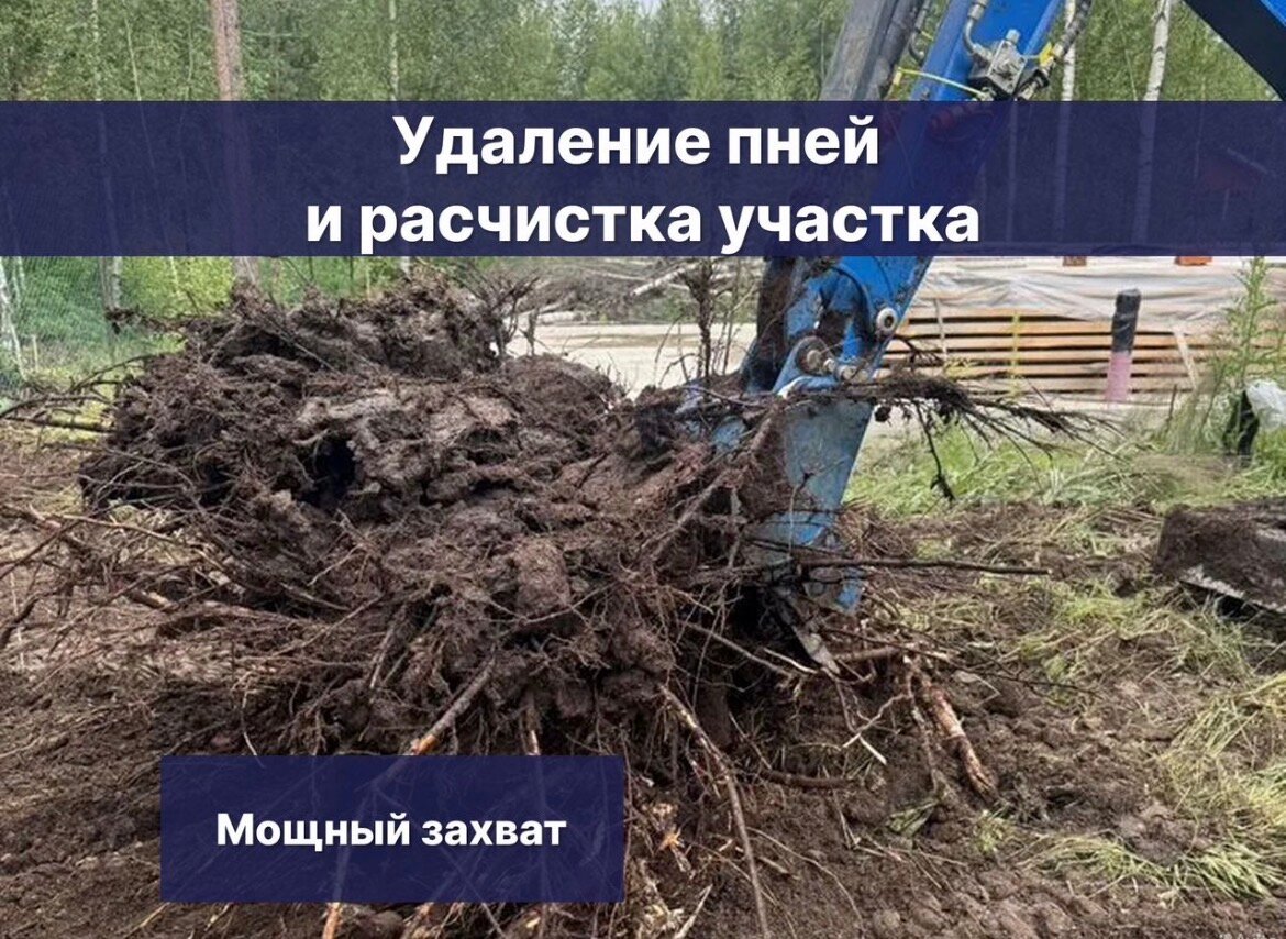 �������������������� ��������, ������������������ �������������� ���� ����������������, ���������������� ��������, ������������������ ��������������, ���������������������������� ����������������