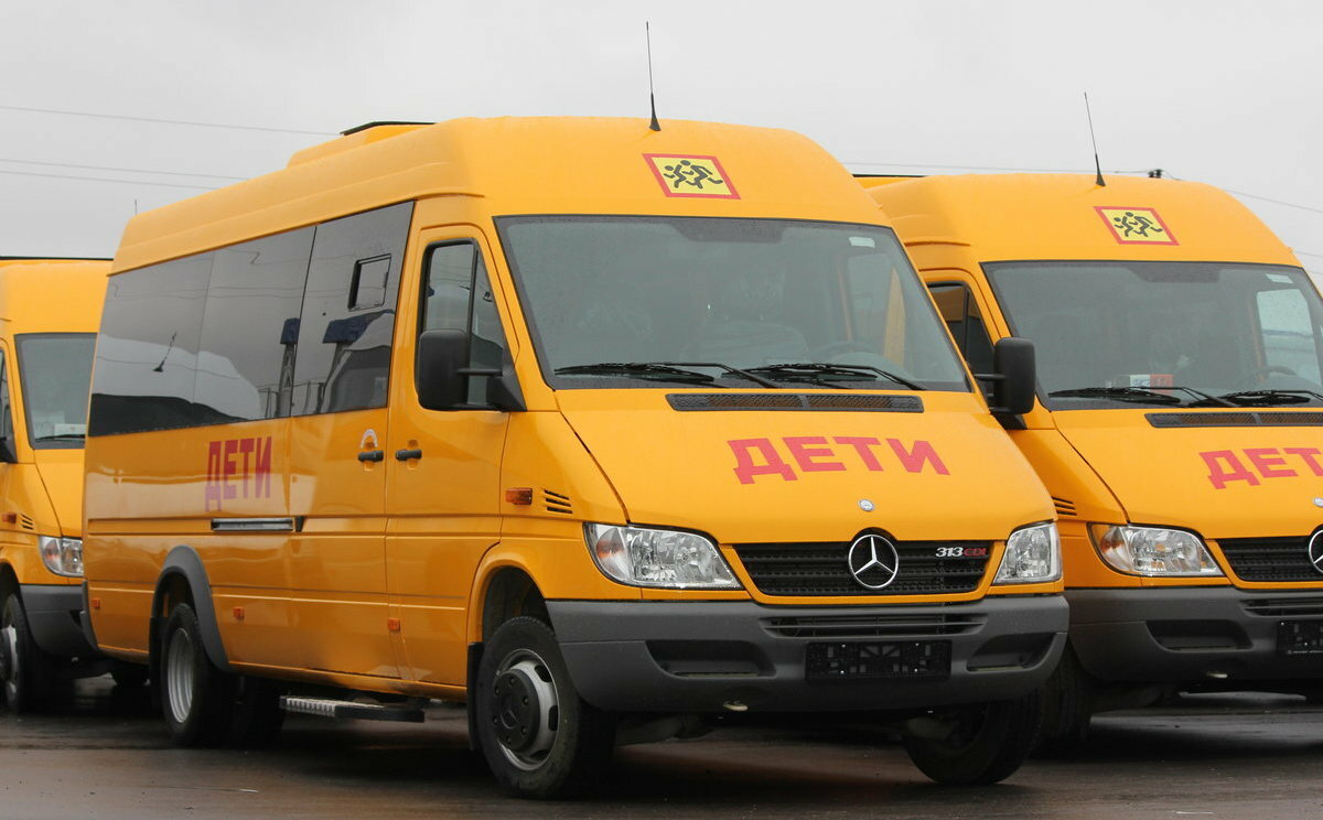 mercedes-benz sprinter, мерседес бенц спринтер школьный автобус, школьный автобус мерседес, школьный автобус, школьный автобус мерседес спринтер