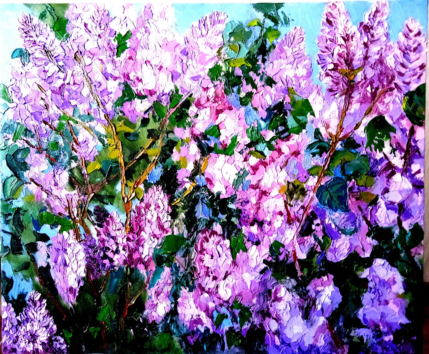 сирень, сирень весной, сирень цвела, сирень syringa josikaea, флауэр сити сирень