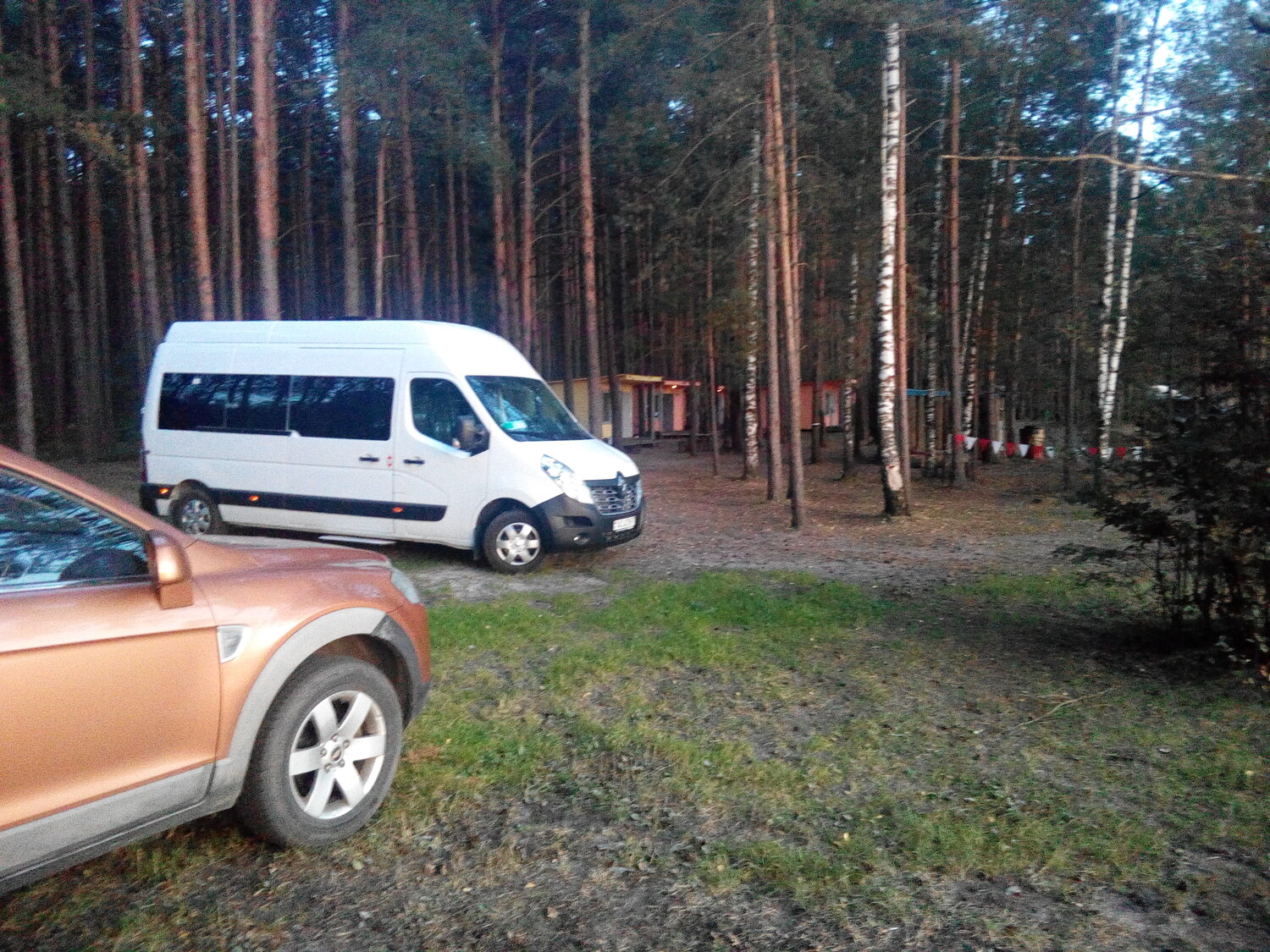 lada largus, автомобиль, авто, ларгус лада в лесу, лада ларгус кросс в лесу