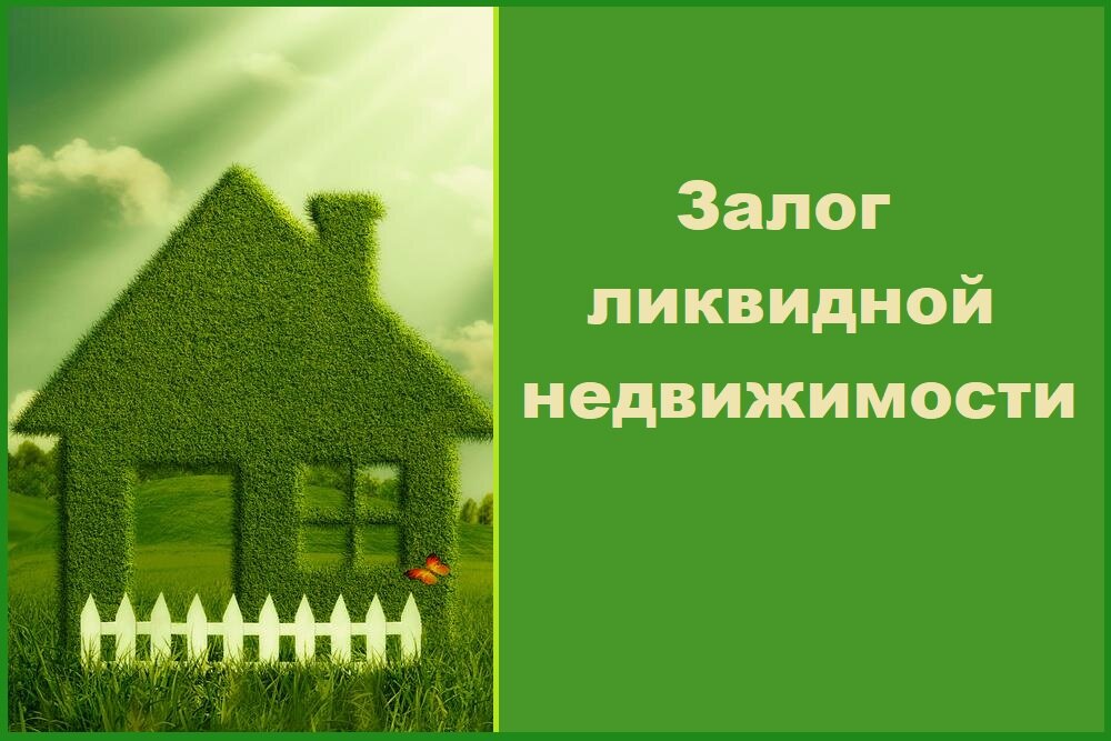 баннер дачная амнистия, зеленый домик эко, зелёный дом, экология в доме, зеленый домик