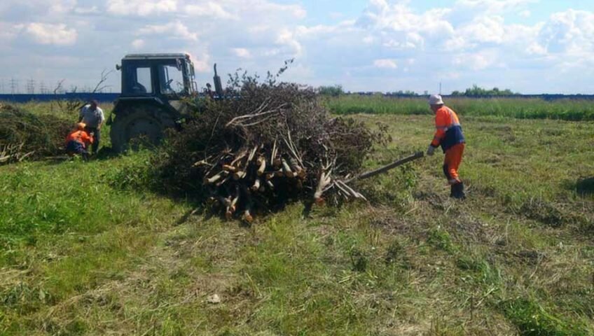 расчистка площадей от кустарника и мелколесья, расчистка участка от кустарников, очистка от кустарника и мелколесья, расчистка земель от древесно-кустарниковой растительности, расчистка участков