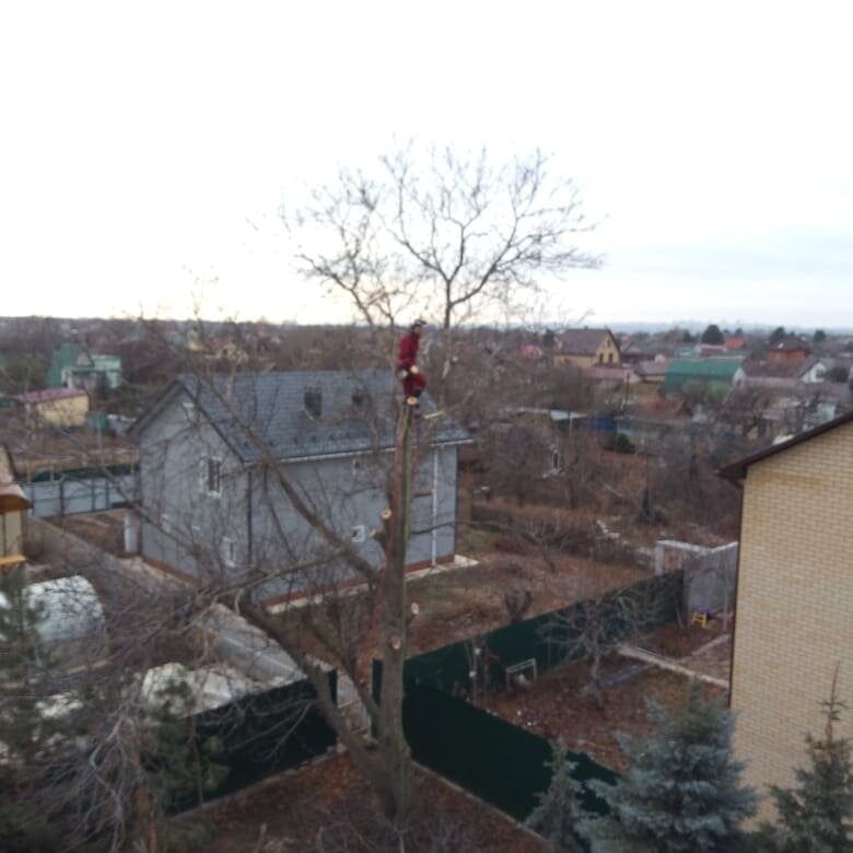 улица, домов, участок, здание, севастополь