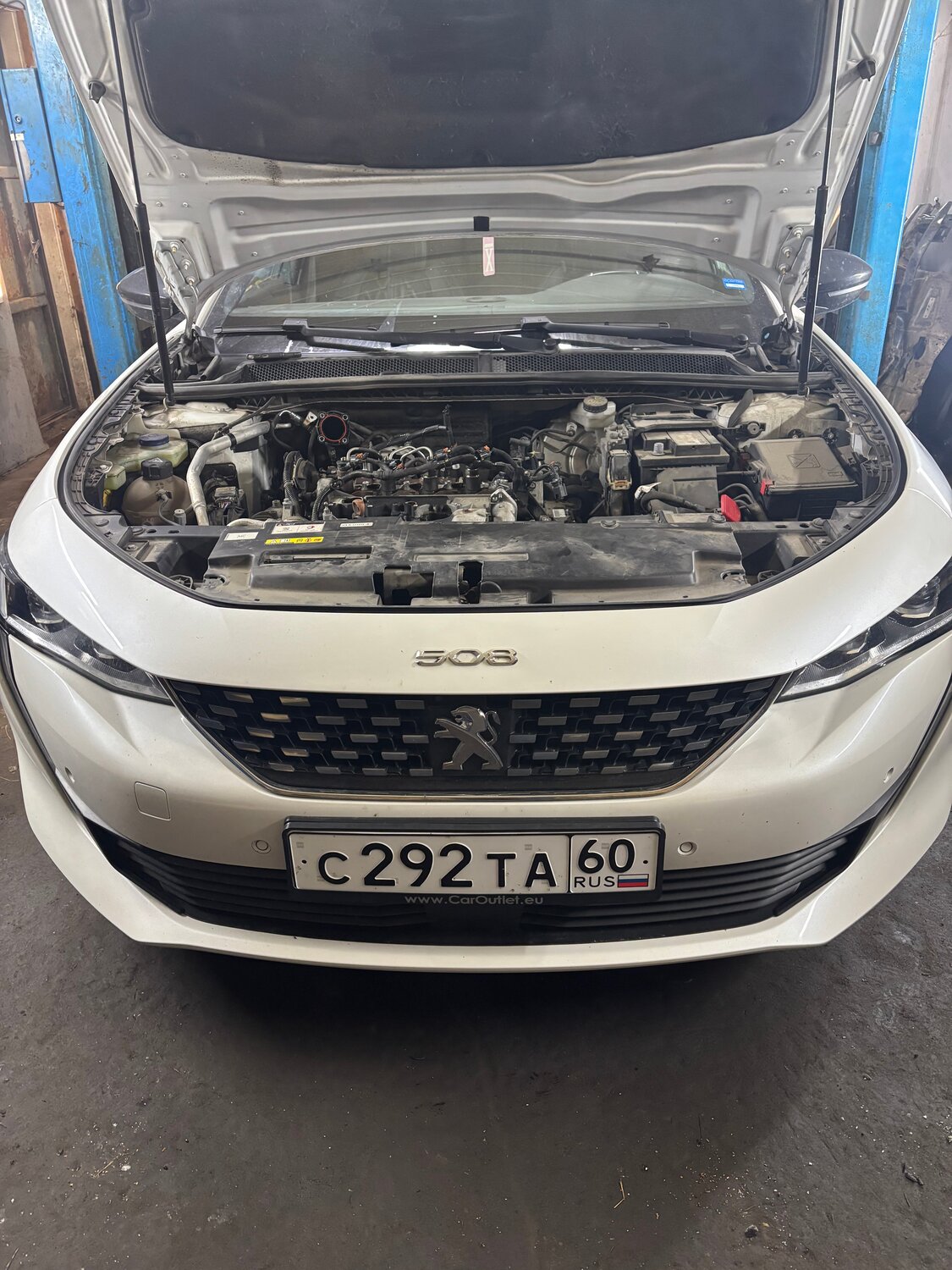 �������� 508 2019, peugeot 508 2019, �������� ��������������, 5 by peugeot, Kia Optima III ��������������������