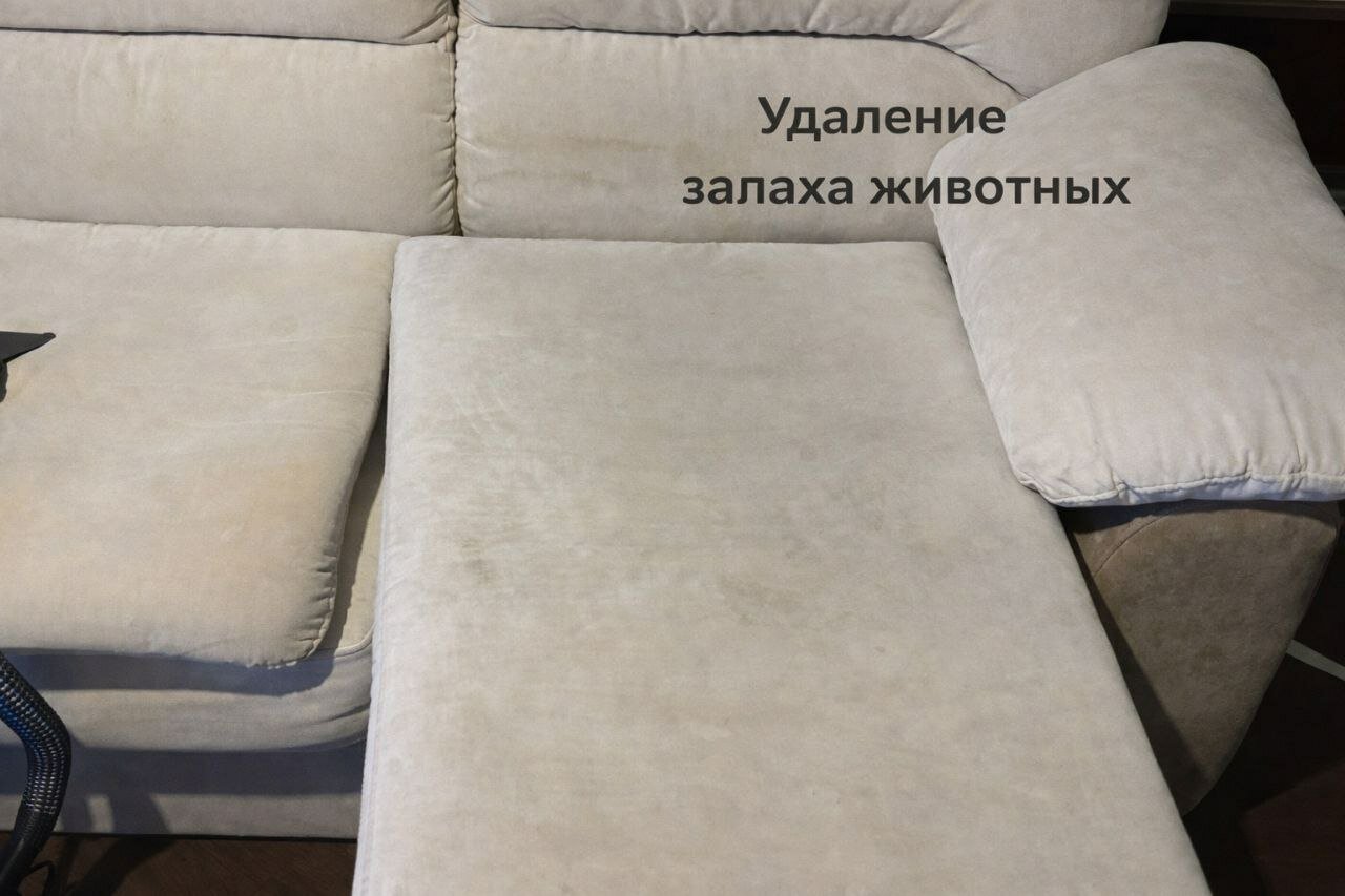 ������������������ ������������, ������������������ ������������ ������������, ������������ ������������, ������������������ ������������, ������������ ������������ ���� ��������