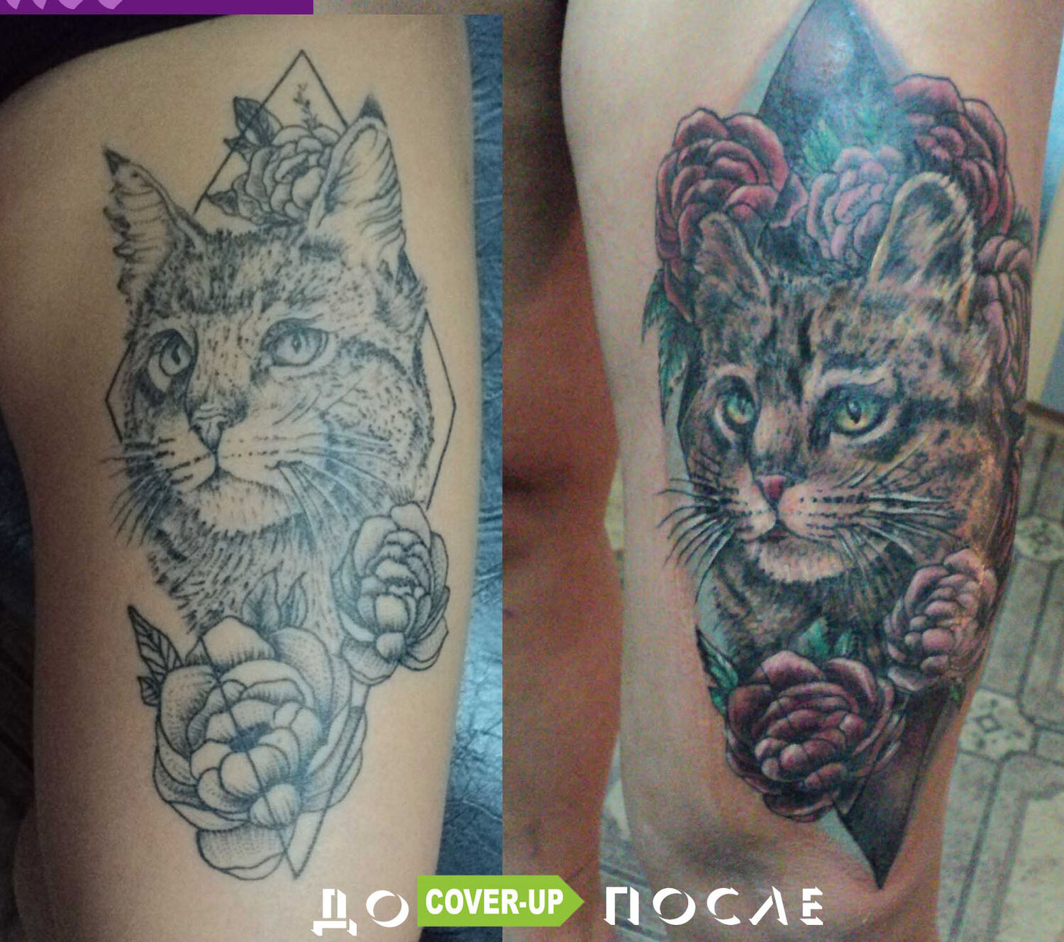 татуировка, tattoo, кот в наколках, наколка рысь, тату котов для мужчин