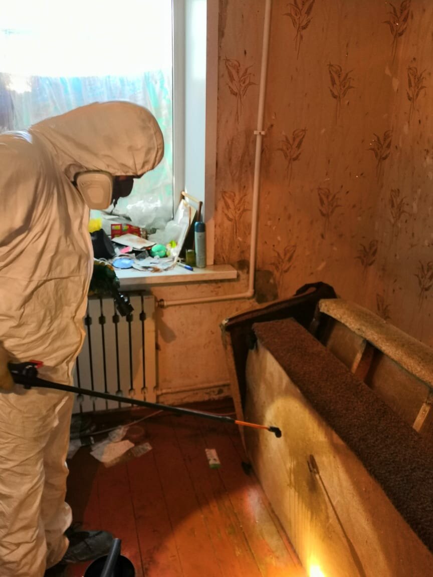 комната, уничтожение клопов, уничтожение клопов туймазах, уничтожение клопов новосибирск, морить клопов в квартире