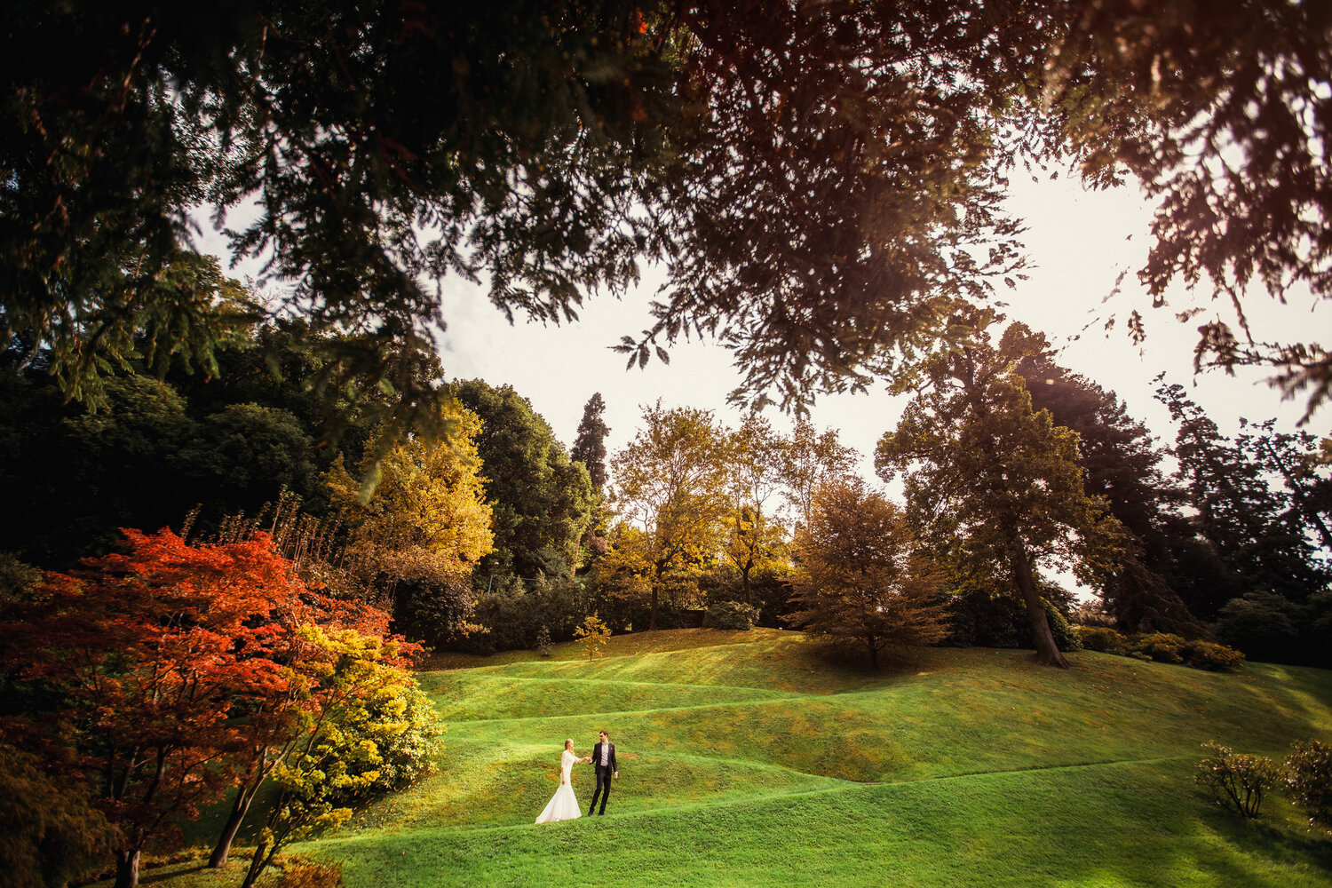 сад, осень в парке в англии, сады осенью, прекрасные сады, washington park arboretum