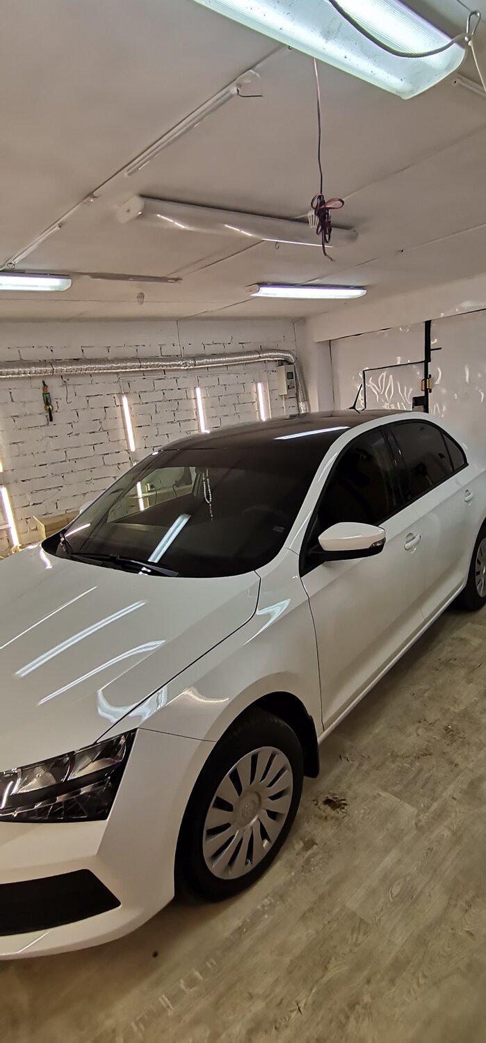 škoda rapid, автомобиль, шкода рапид лифтбек 2019, škoda octavia, авто