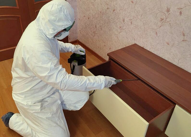 уничтожение клопов, дезинфекция помещений от клопов, дезинсекция клопов, уничтожение клопов в щелково, уничтожение клопов линево