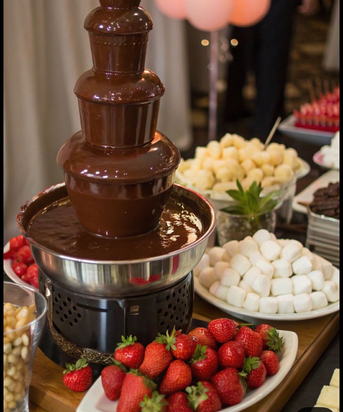 �������������������� ������������, chocolate fountain bar, chocolate fountain, ������������ �� �������������������� ����������������, �������� �� �������������������� ����������������