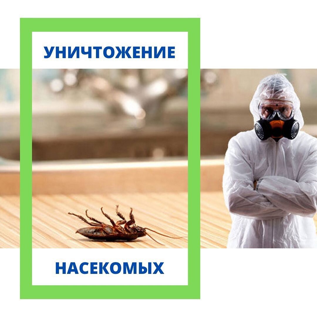дезинфекция от тараканов, дезинфекция дезинсекция дератизация, уничтожение тараканов, обработка от тараканов, уничтожение насекомых