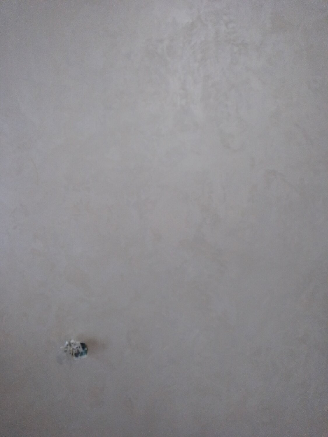 венецианская штукатурка отточенто, мокрый шелк декоративная штукатурка, вгт декоративная штукатурка мокрый шелк, декоративная штукатурка, декоративная штукатурка мокрый шелк vgt