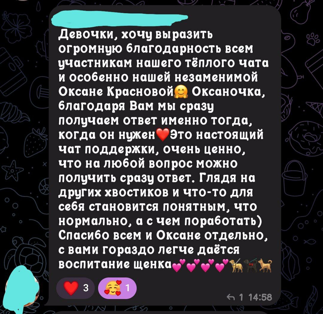 благодарю, спасибо, последние записи, добр день, сообщение