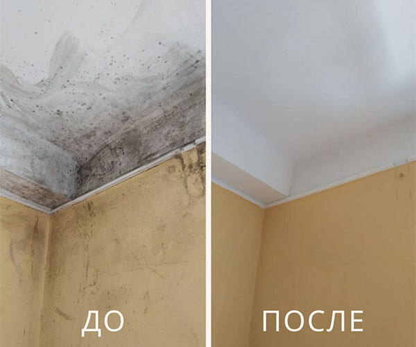 удаление плесени, плинтуса на потолке, потолочные плинтуса, избавиться от плесени, от плесени на стенах