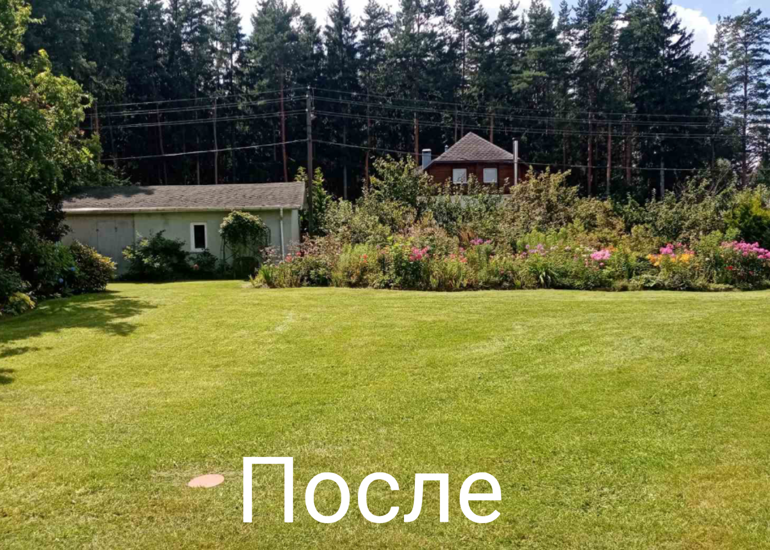 дом, сад, ландшафт, дома в деревне, участка