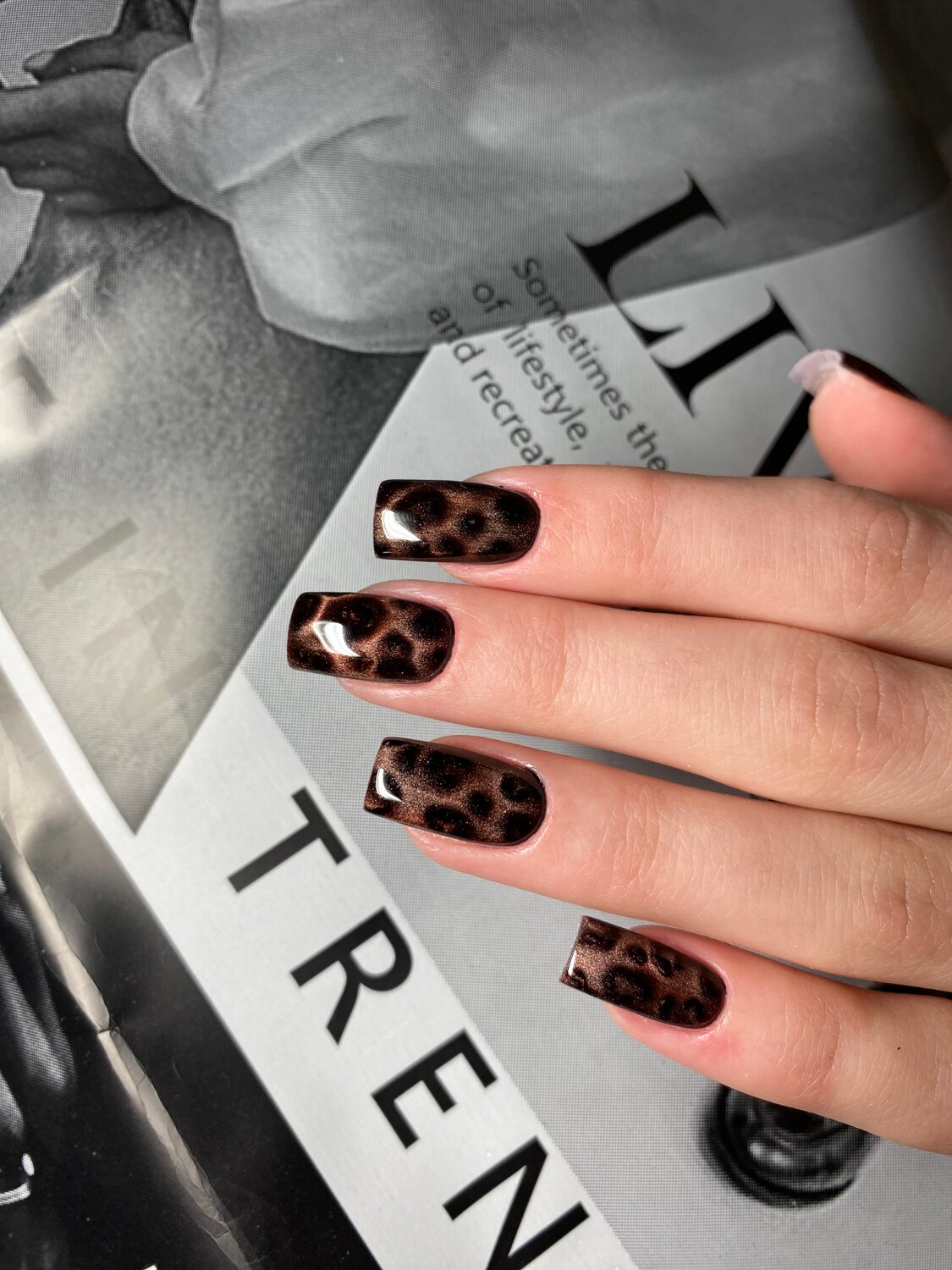 ����������, ��������������, ������������ ����������������, ���������� ����������������, �������������� �� ����������������